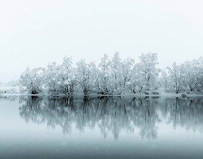 Скандал в теннисе: Арина Соболенко оскорбила Елену Рыбакину после проигрыша, а та  отказалась делать фото с главой WTA