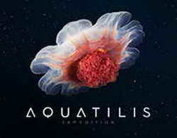 Росстандарт: АвтоВАЗ отзывает 23 000 Lada Travel и Niva Legend