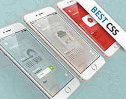 Кубок Англии. Ман Сити примет Солфорд, Вилла сыграет с Ньюкаслом, Ливерпуль против Брайтона
