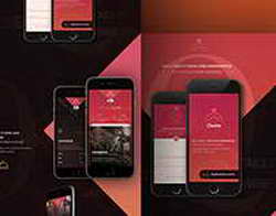 Топливный ажиотаж в Курской области