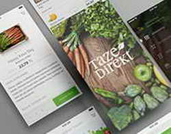 Apple выпустила релизную версию iOS 26 с дизайном Liquid Glass
