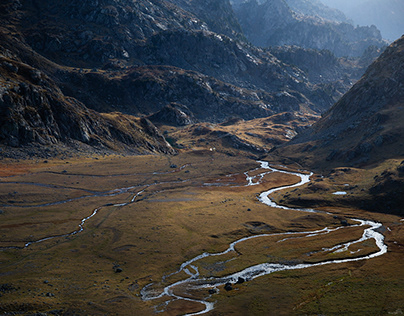 Разрыв договора США-ВОЗ связан с финансовым кризисом Штатов